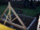 tiny_645.jpg