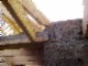 tiny_100_0754.jpg