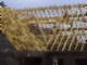 tiny_100_0757.jpg
