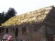 tiny_100_0760.jpg
