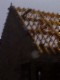 tiny_100_0750.jpg