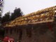 tiny_100_0751.jpg