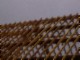 tiny_100_0753.jpg