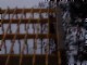 tiny_100_0754.jpg