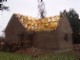 tiny_100_0757.jpg