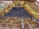 tiny_100_0772.jpg