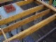 tiny_100_0775.jpg