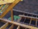 tiny_100_0777.jpg