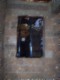 tiny_100_0778.jpg