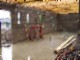 tiny_100_0750.jpg