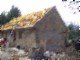 tiny_100_0752.jpg