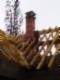 tiny_100_0754.jpg