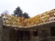 tiny_100_0756.jpg