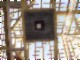 tiny_100_0832.jpg