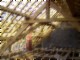 tiny_100_0837.jpg