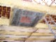 tiny_100_0839.jpg