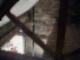 tiny_IMAG0024.JPG