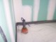 tiny_100_1159.jpg