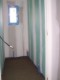 tiny_100_1238.jpg