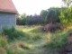 tiny_100_1289.jpg