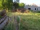tiny_100_1291.jpg